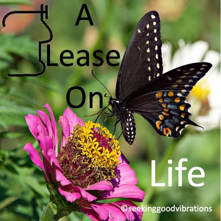 A Lease On Life